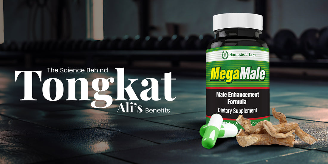 Tongkat Ali Root: How It Boosts Men's Sexual Performance