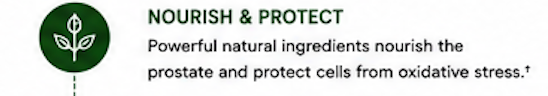 Nourish and protect: Powerful natural ingredients nourish the prostate and protect cells from oxidative stress.