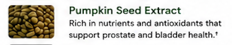 Pumpkin Seed Extract